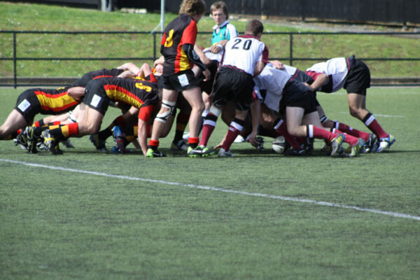 The North Harbour and Waikato Cavaliers packs collide. North Harbour won 31-5